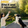 Squeaky Vinyl Dog Toy Balls for Small and Medium Dogs