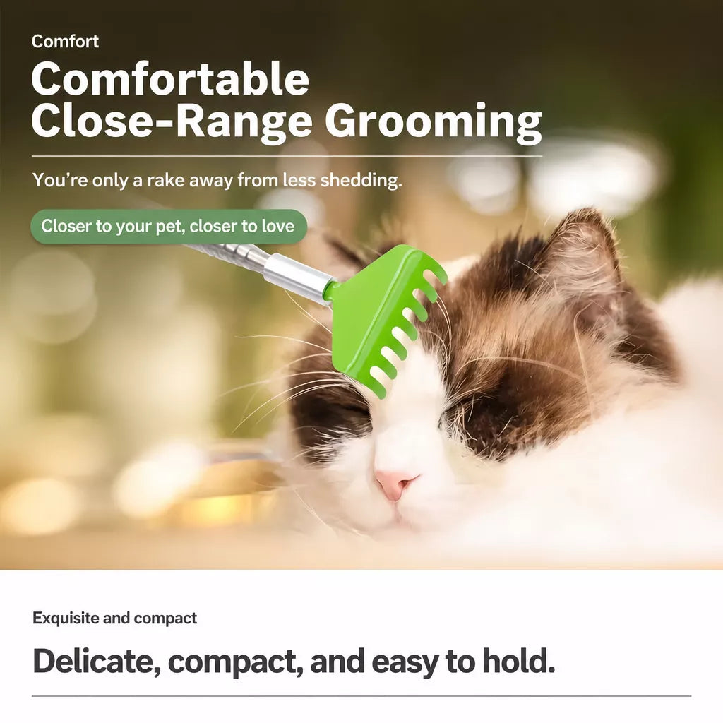 Retractable Pet Scratching Stick