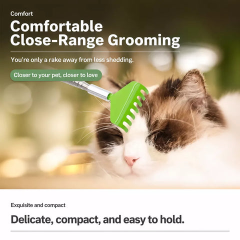 Retractable Pet Scratching Stick