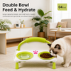 Raised Ceramic Double Pet Bowl Set