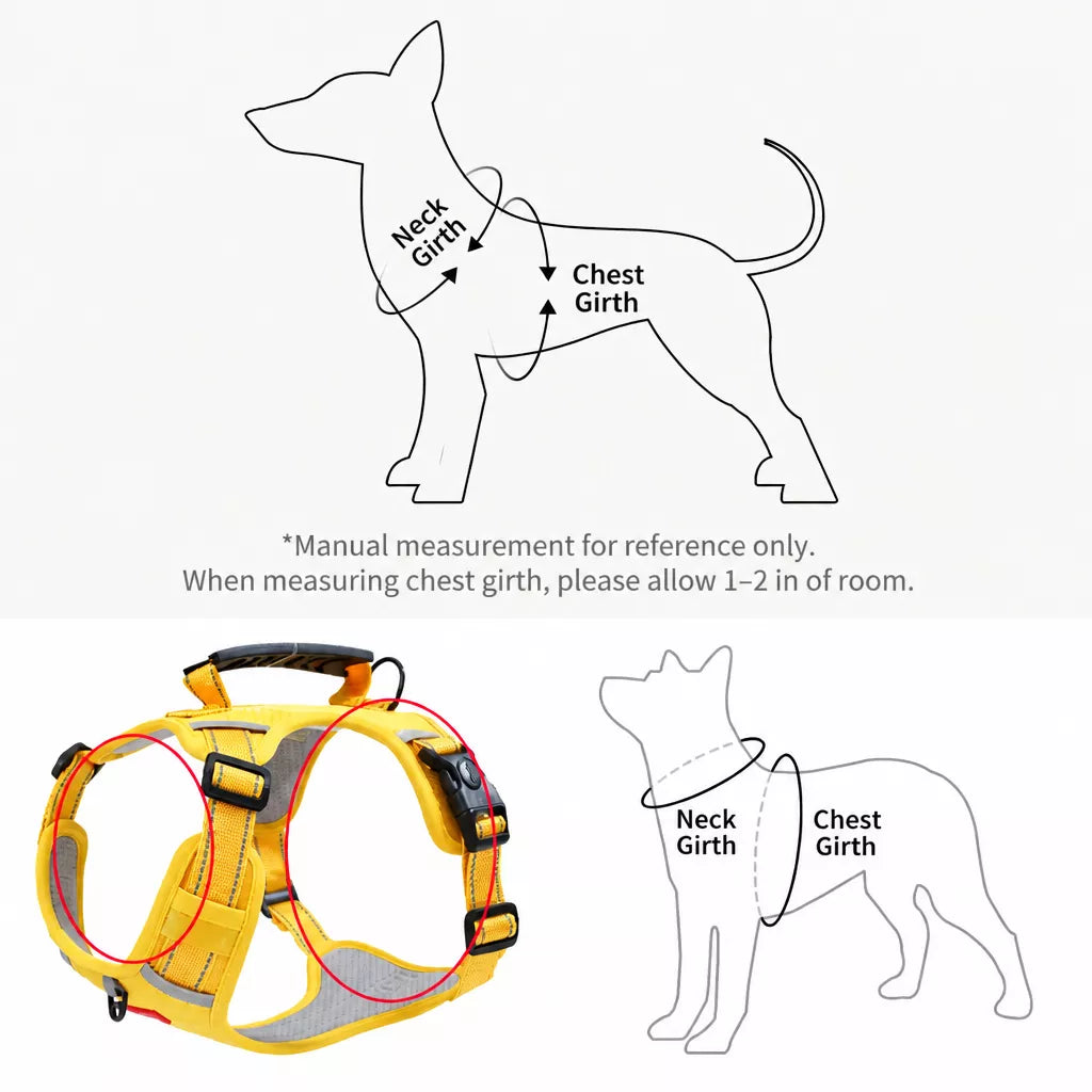 Nylon Dog Harness with Optional Leash