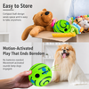 Squeaky Vinyl Dog Ball Toy