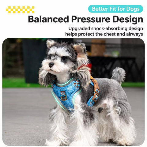 Pet Vest Harness for Small to Medium Dogs
