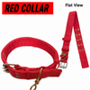 Adjustable Nylon Pet Harness and Leash Set