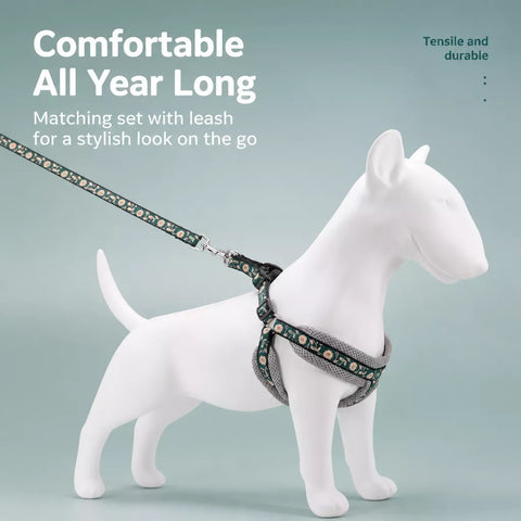 Small Dog Vest Harness and Leash Set