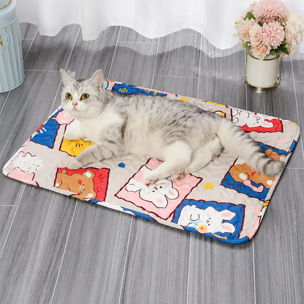 Floor Pet Bed Mat for Dogs and Cats