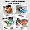 Dog Life Jacket for Swimming & Outdoor Water Activities