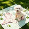 Lightweight Four-Leg Dog Shirt for Warm-Weather Wear