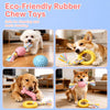 Dog Chew and Play Toys