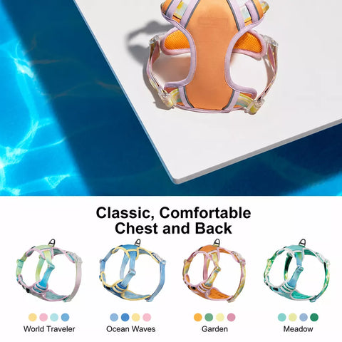 Polyester H-Style Dog Harness for Everyday Walks