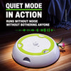 Rechargeable Interactive Whack-a-Mole Cat Toy