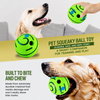 Squeaky Vinyl Dog Ball Toy