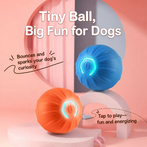 Interactive Squeaky Bouncing Ball Toy for Dogs