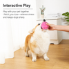 Interactive TPR Dog Chew Ball Toy