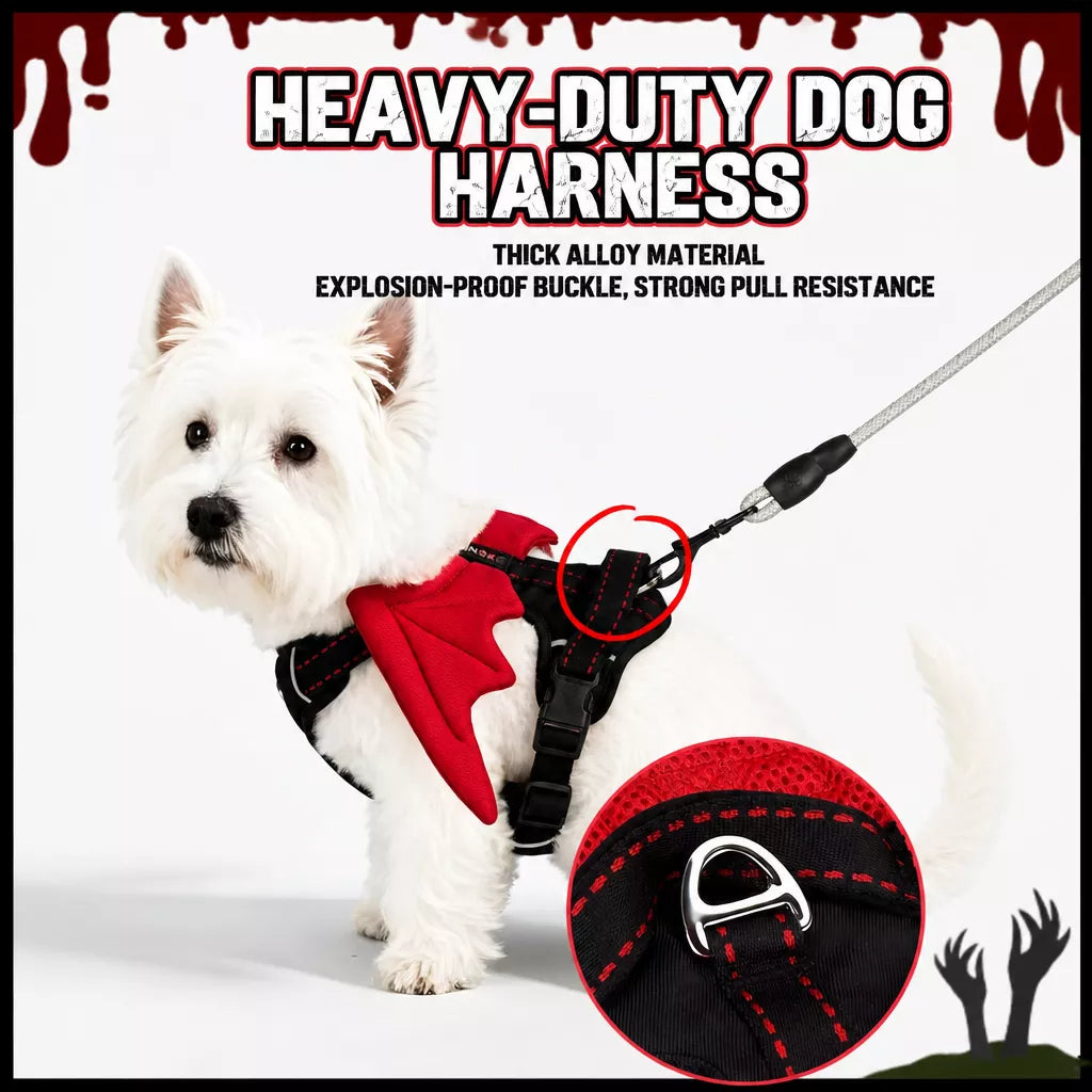 Winged Nylon Dog Harness with Leash Options