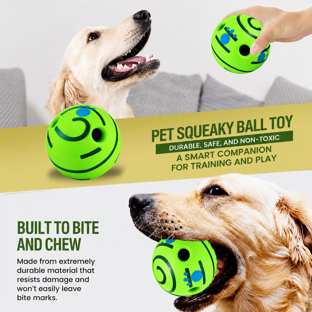 Squeaky Dog Ball Toy for Solo and Interactive Play
