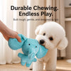 Plush Squeaky Dog Toy