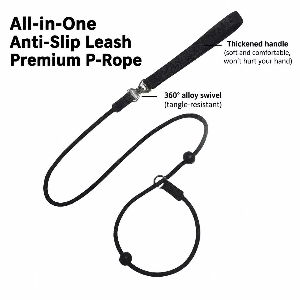 One-Piece Nylon Rope Training Leash for Small and Medium Dogs