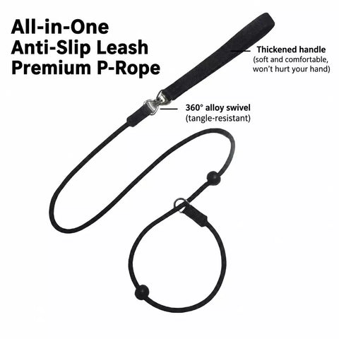 One-Piece Nylon Rope Training Leash for Small and Medium Dogs