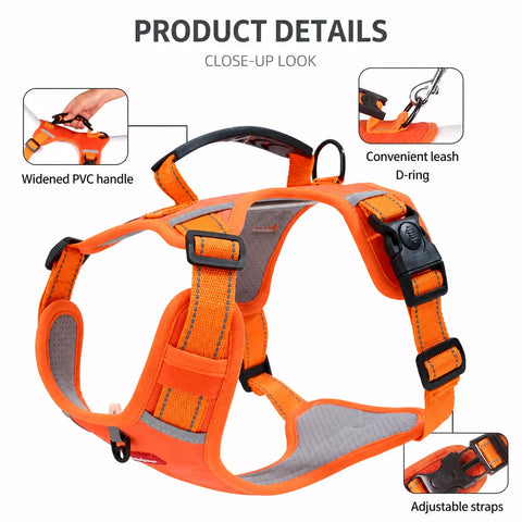 Nylon Dog Harness with Optional Leash
