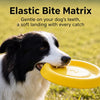 Floating Dog Frisbee Toy for Fetch & Interactive Play