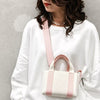Breathable Mesh Crossbody Pet Carrier