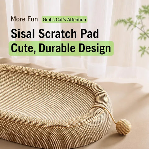Cat Scratcher with Built-In Lounge Area