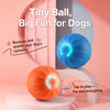 Interactive Squeaky Bouncing Ball Dog Toy
