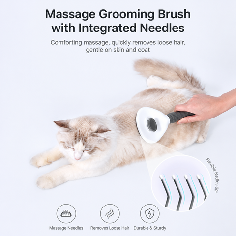 Self-Cleaning Pet Brush for Dogs & Cats