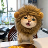 Animal Costume Hats for Dogs & Cats