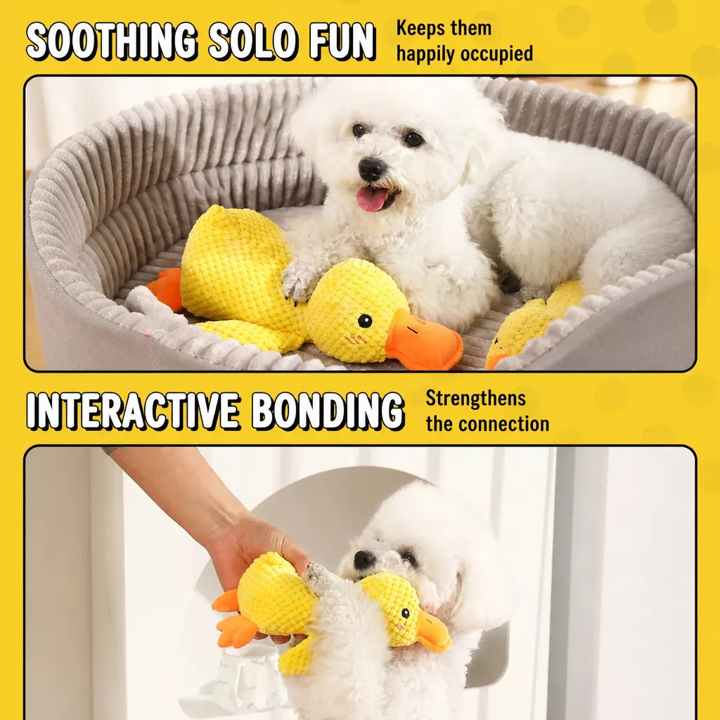 Plush Squeaky Dog Toys in Duck, Rope & Multi-Piece Styles