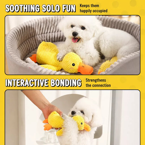 Plush Squeaky Dog Toys in Duck, Rope & Multi-Piece Styles
