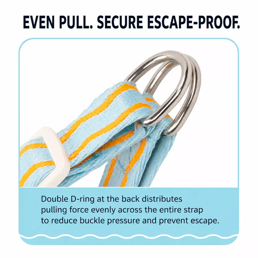 Y-Shaped Nylon Dog Harness and Leash for Small to Medium Dogs