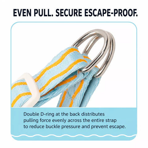 Y-Shaped Nylon Dog Harness and Leash for Small to Medium Dogs