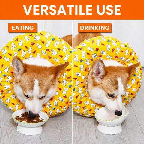 Soft Recovery Collar for Dogs