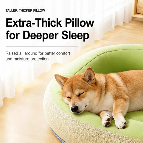Sofa-Style Dog Bed for Small to Medium Dogs