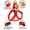 Adjustable Dog Harness and Handheld Leash