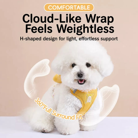 Bow Vest Harness and Leash for Small Dogs