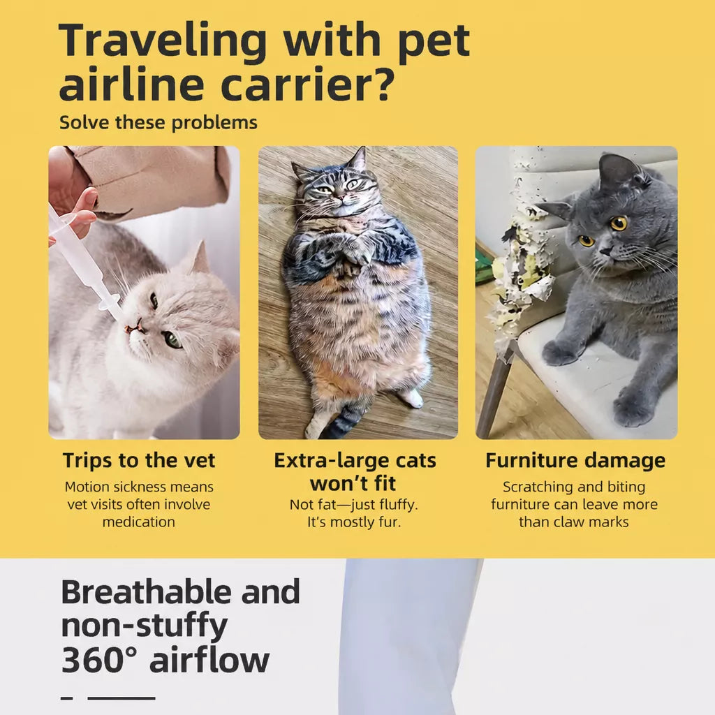 Pet Travel Carrier for Cats and Small to Medium Dogs