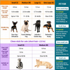 Flea & Deshedding Comb for Cats and Dogs