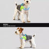 Y-Front Polyester Dog Harness with Leash for Small Dogs