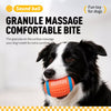 Squeaky Vinyl Dog Toy Balls for Small and Medium Dogs