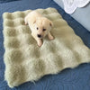 All-Season Pet Bed Mat for Cats and Dogs