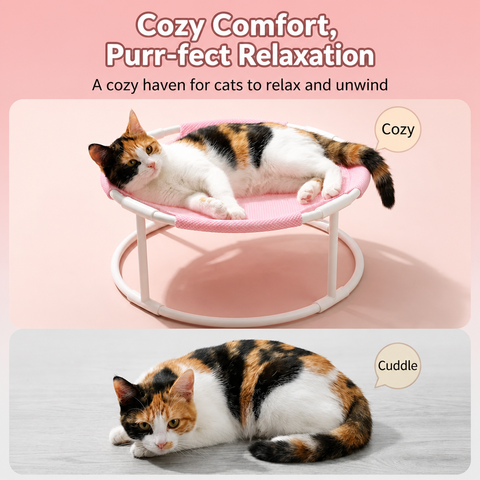 Round Elevated Hammock-Style Pet Bed | The Pet Edit