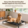 Elevated Nylon Dog Cot Bed with Removable, Washable Design