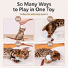 Colorful Cat Crinkle Ball Toy