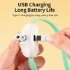 Rechargeable Laser Cat Toy