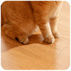Feather Cat Teaser Toy Set with Bells