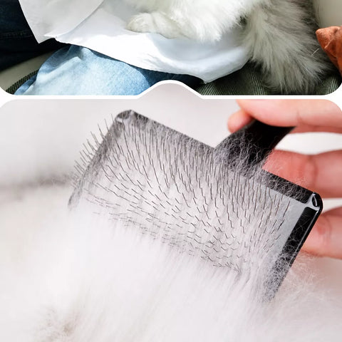 Stainless Steel Pin Brush for Dogs and Cats