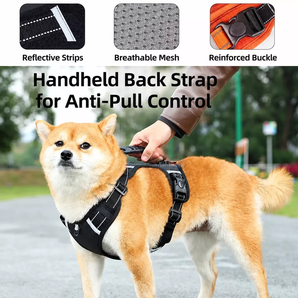 Nylon Dog Harness with Optional Leash